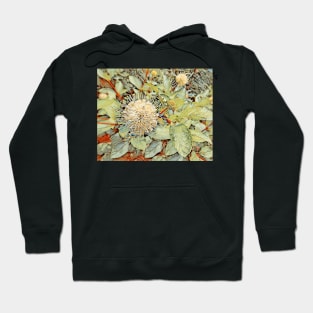 Button Bush Flower No.1 Hoodie